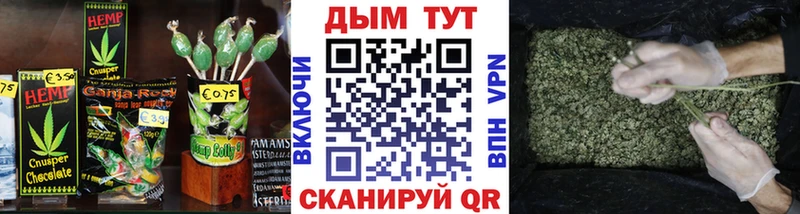 Купить  Новоульяновск  Canna-Cookies конопля 